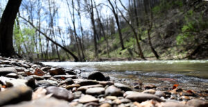 Deckers Creek rising: The rapid resurgence of a once-dead waterway